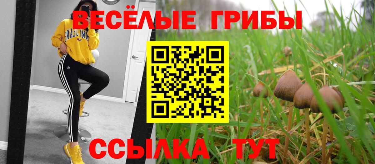 Галлюциногенные грибы GOLDEN TEACHER  Вход с VPN  Галлюциногенные грибы GOLDEN TEACHER  Братск 